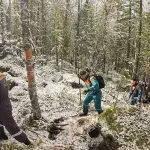 Эксперты назвали главные ошибки Усольцевых и других пропавших в Красноярском крае