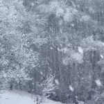 В Алтайском заповеднике запечатлели весеннее продолжение зимней сказки. Видео