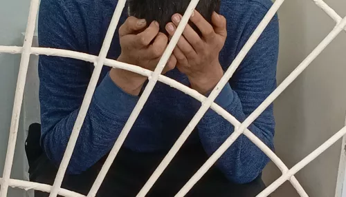 Сирота в пять лет: что известно о маме, погибшей в страшном ДТП под Новосибирском