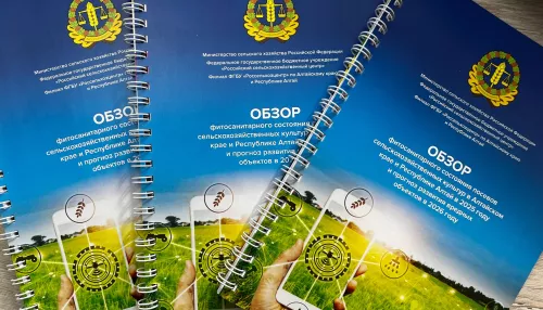 Алтайский Россельхозцентр презентовал свежий выпуск обзора состояния посевов