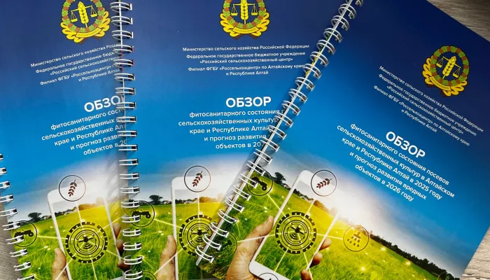 Алтайский Россельхозцентр презентовал свежий выпуск обзора состояния посевов