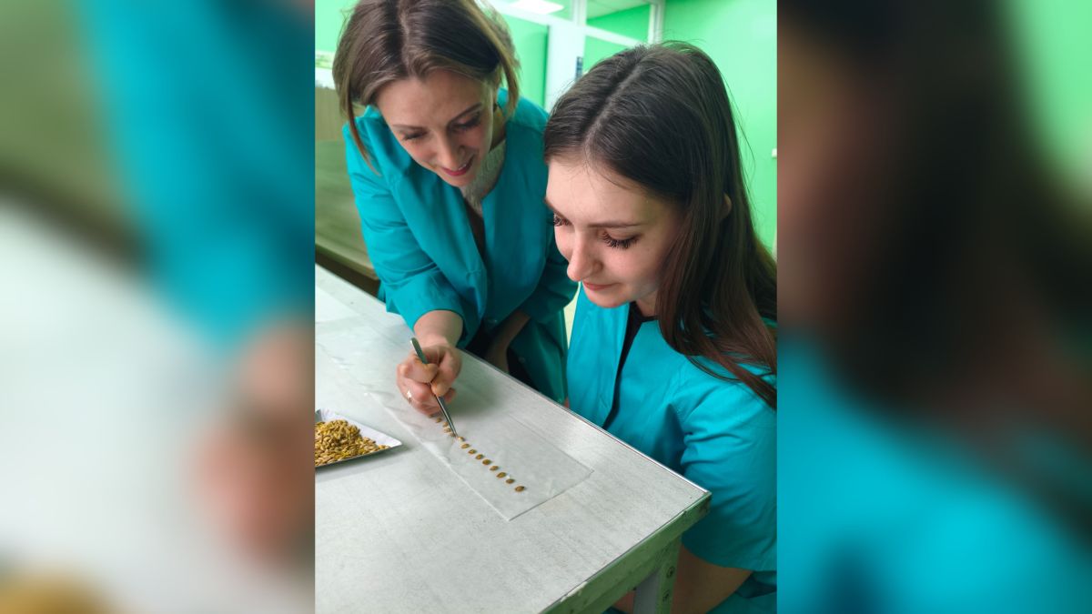 Обучение