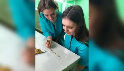 В Алтайском Россельхозцентре прошел обучающий семинар по фитосанитарной экспертизе