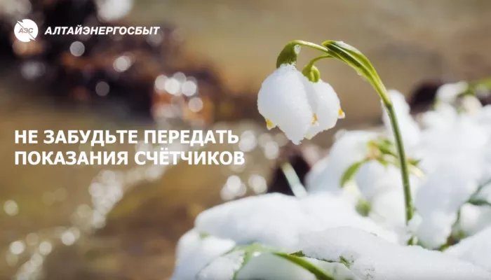 Успейте передать показания электросчетчика, чтобы получить точный счет