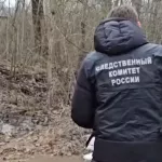 Расчлененное тело 17-летнего подростка нашли в Санкт-Петербурге: что известно