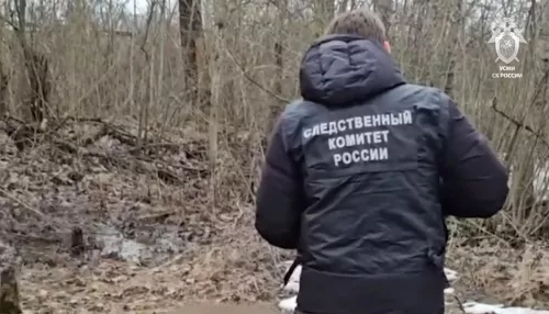 Расчлененное тело 17-летнего подростка нашли в Санкт-Петербурге: что известно