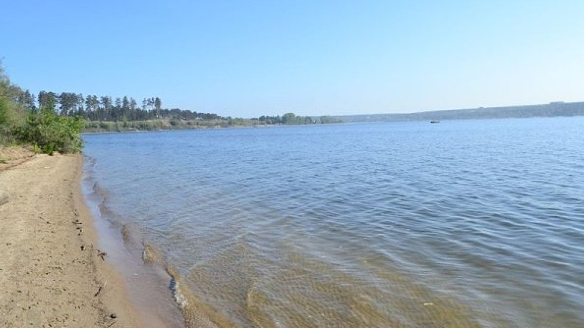 Новосибирская коса. Бердская коса Бердск. Обское море Бердская коса. Заповедник Бердская коса. Пляж Бердская коса Новосибирск.