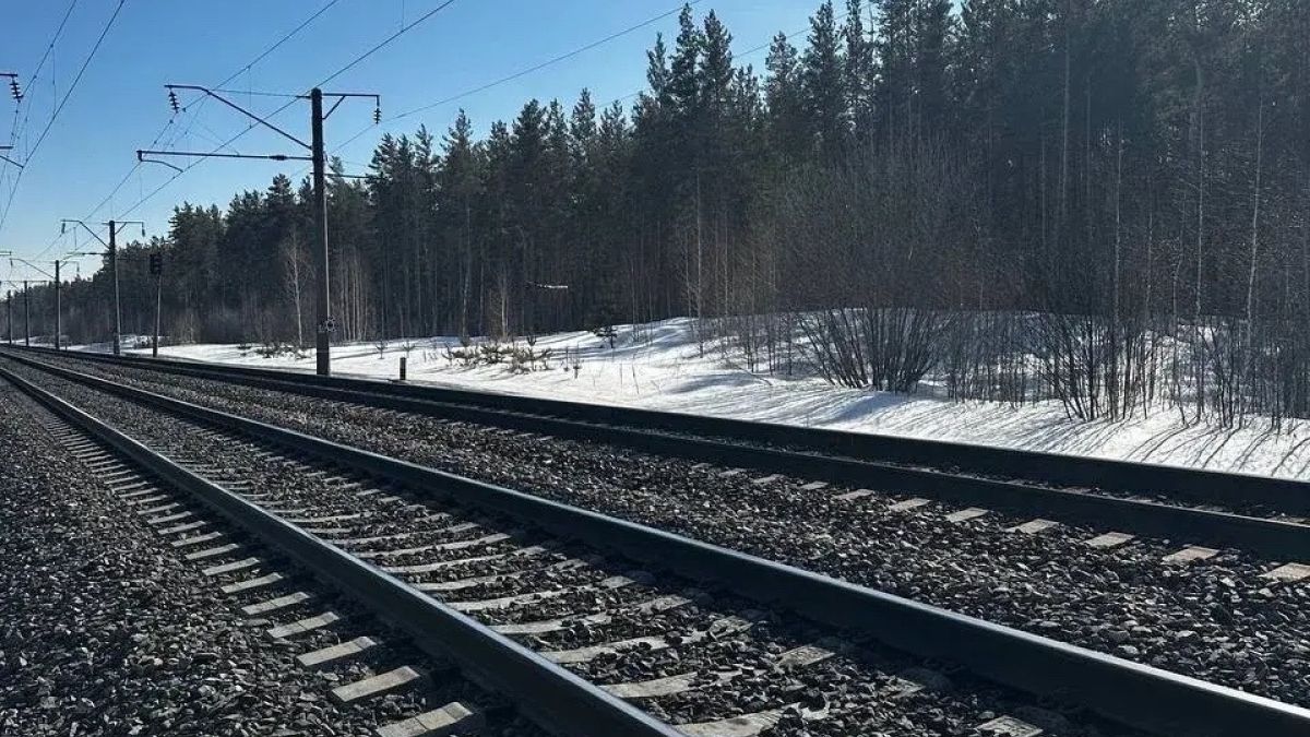 В районе перегона станций Цаплино-Боровиха