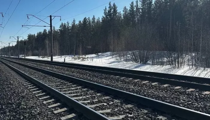 Пьяный пешеход в Алтайском крае столкнулся с поездом и выжил