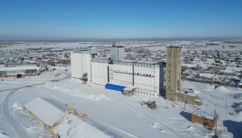 Кулундинский элеватор втрое увеличил мощь после масштабной модернизации