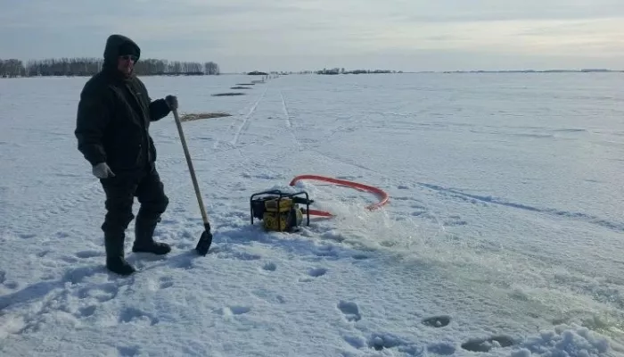 Специалисты спасают рыбу от кислородного апокалипсиса в водоемах Алтайского края