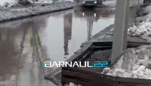 Жители Алтайского края жалуются на подтопления талой водой