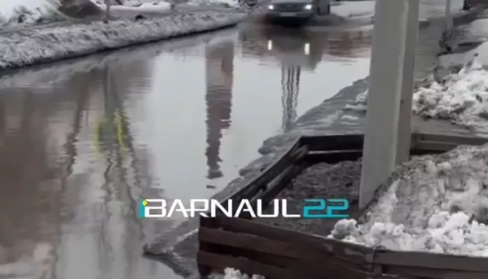 Жители Алтайского края жалуются на подтопления талой водой