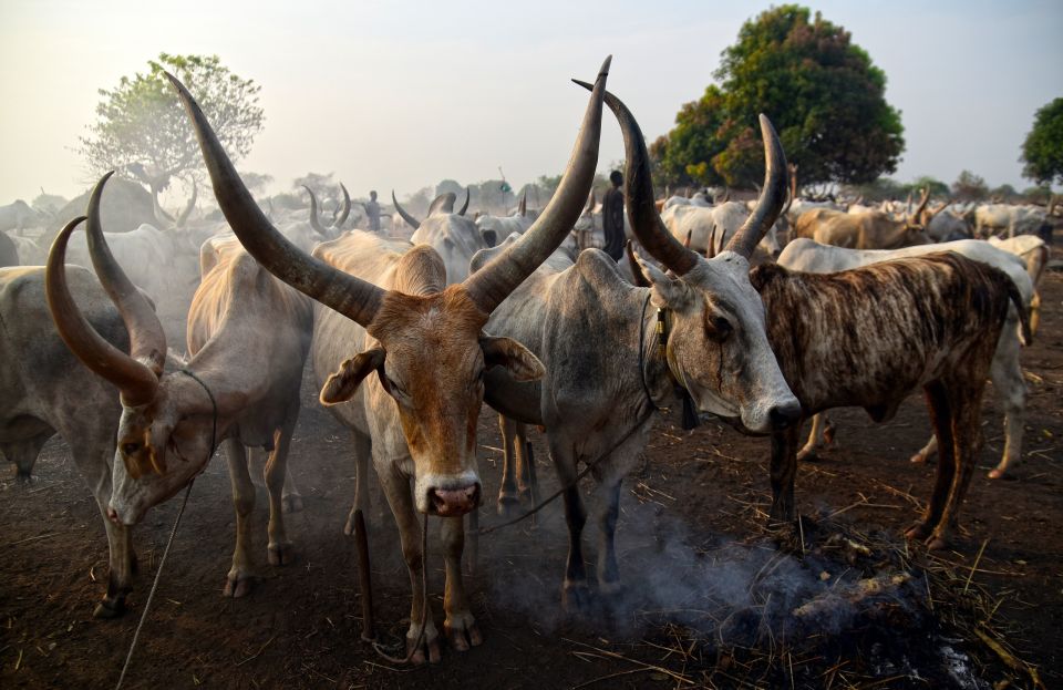Барнаулец Евгений Лавров побывал почти в 200 странах