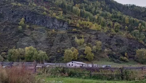 Дом с гостевым комплексом и видом на горы продают за 30 млн рублей на Алтае. Фото