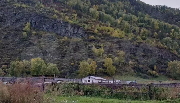 Дом с гостевым комплексом и видом на горы продают за 30 млн рублей на Алтае. Фото