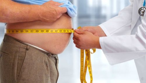 Японские ученые нашли новую причину ожирения