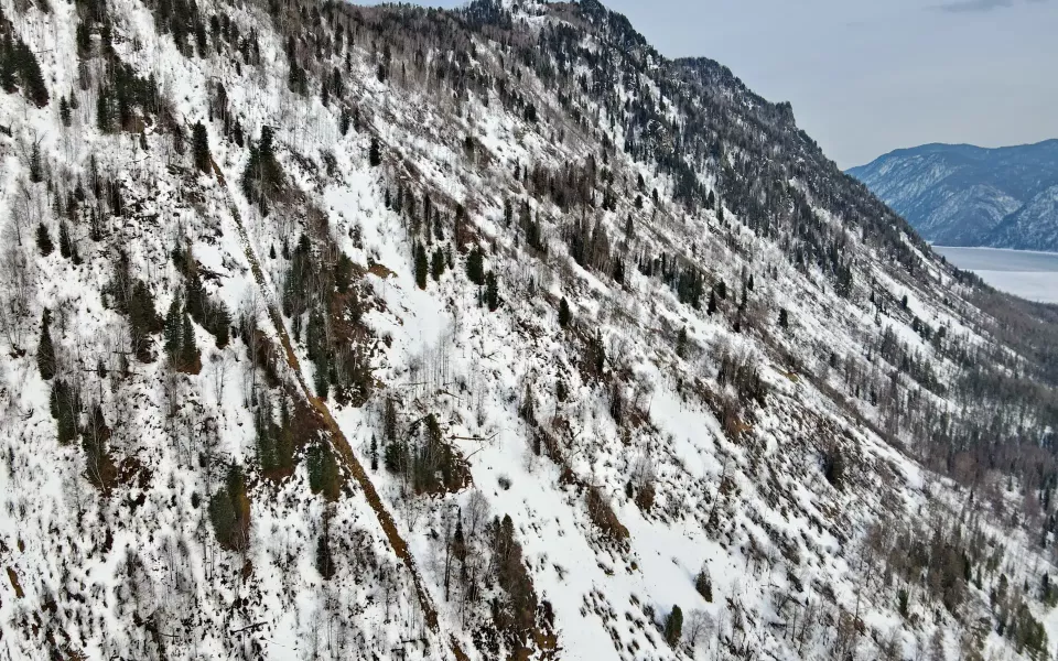 Госинспектор засняла снежные лавины в прителецкой тайге. Фото