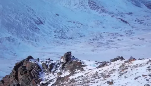 Появились новые кадры со снежным барсом на склонах Южно-Чуйского хребта. Видео