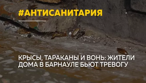 Крысы, тараканы и фекалии годами терроризируют жителей барнаульской многоэтажки