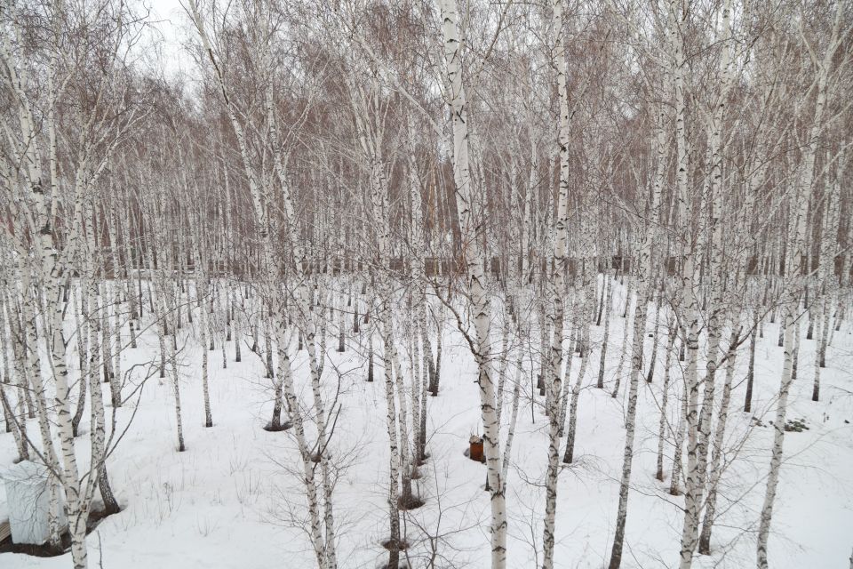 Клубный дом "Депо в роще" на ул. Геодезической