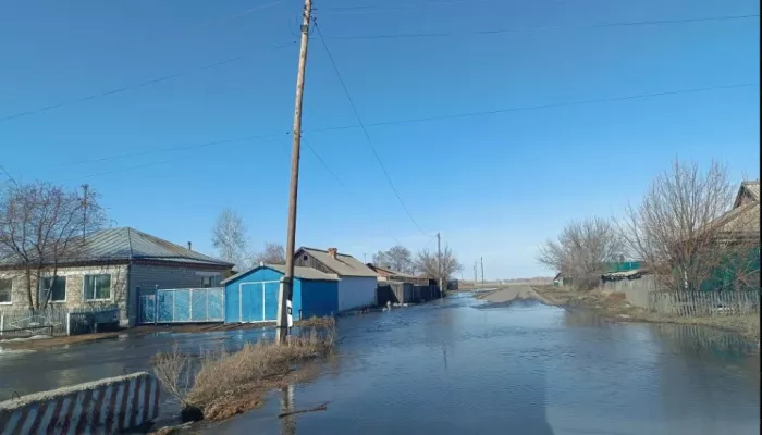 Режим повышенной готовности объявили в Михайловском районе из-за талой воды