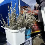 Барнаульцы закупились на 4 млн рублей на традиционных продуктовых ярмарках