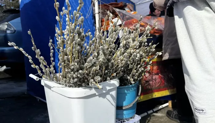 Барнаульцы закупились на 4 млн рублей на традиционных продуктовых ярмарках