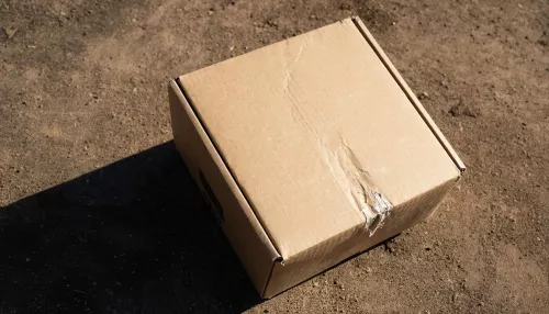 Житель Курской области погиб при взрыве найденной коробки