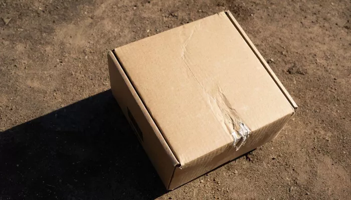 Житель Курской области погиб при взрыве найденной коробки