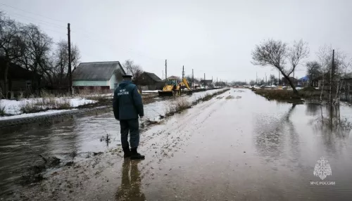 Талой водой в Алтайском крае начало топить дворы и залило мост