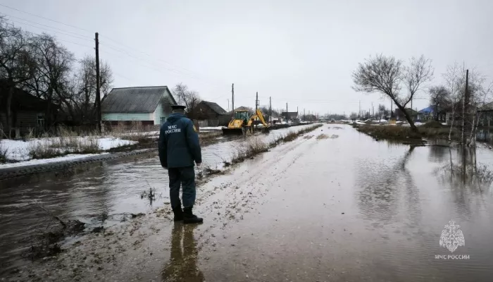 Талой водой в Алтайском крае начало топить дворы и залило мост