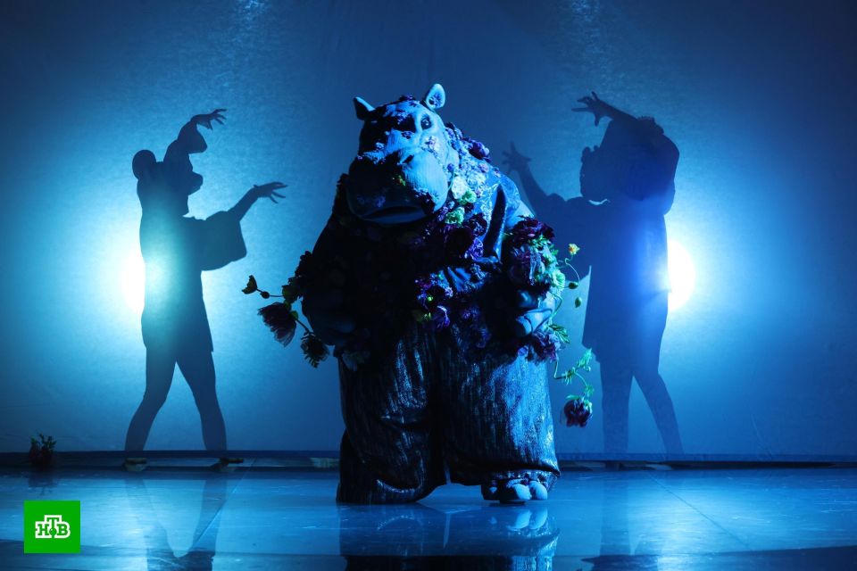 Гиппопотам на шоу "Маска"