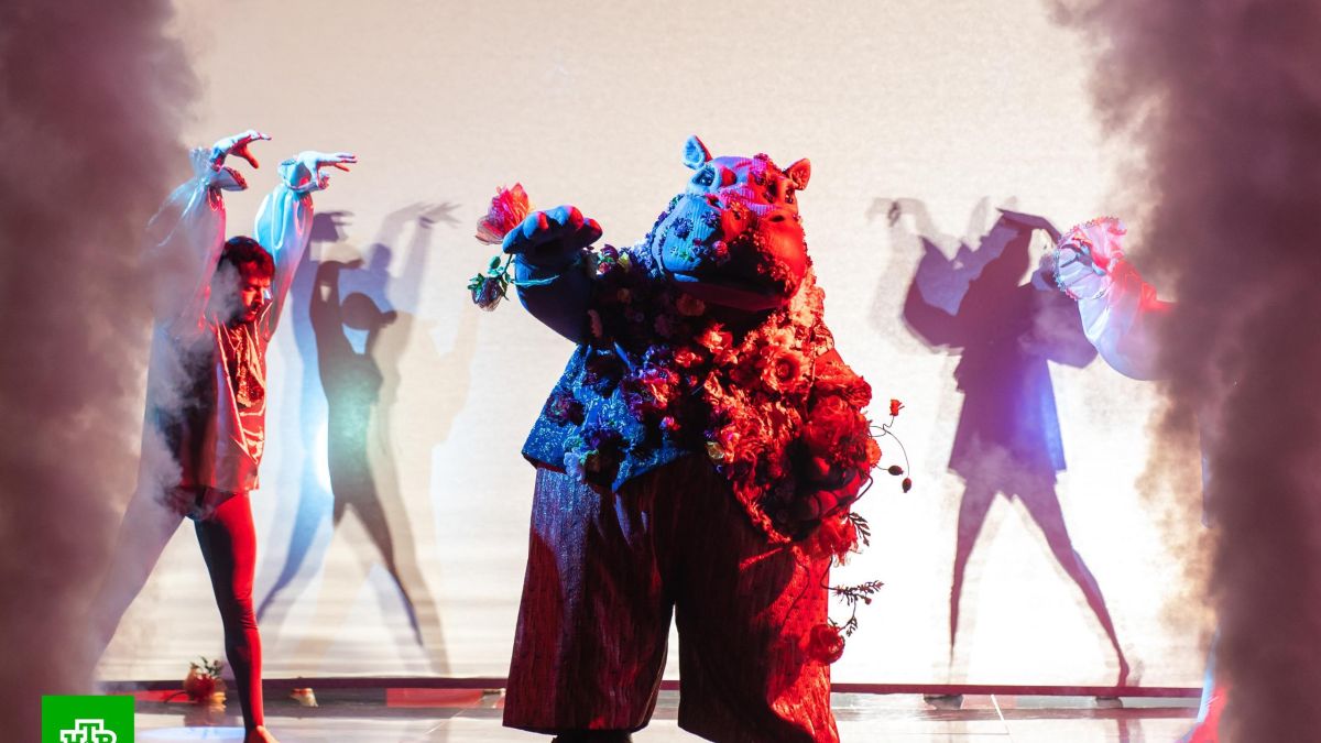 Гиппопотам на шоу "Маска"