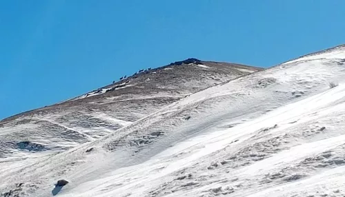 Месяц засахаренных гор: как природа Сайлюгемского нацпарка выглядит в марте. Фото