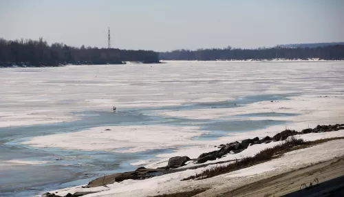 Выходные в Алтайском крае будут почти по-летнему теплыми: до +24 градусов