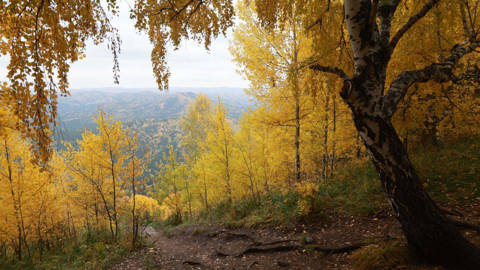 Белокуриха