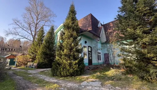 Базу отдыха выставили на продажу на Телецком озере в Горном Алтае. Фото