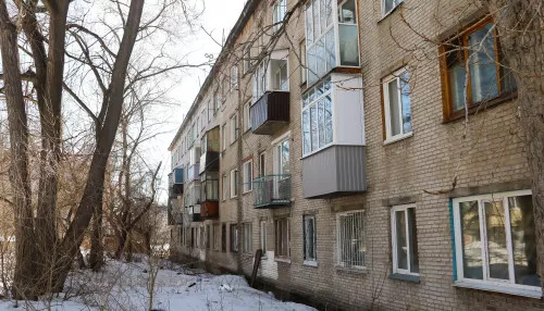 В аварийном доме на ул. Тимуровской в Барнауле нашли запертыми 16 кошек