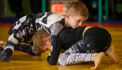 Барнаульский клуб бразильского джиу-джитсу Партизан отметил юбилей