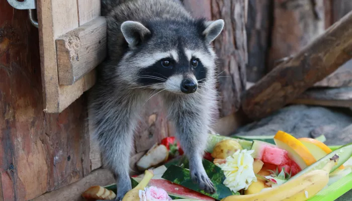 Веселый Барнаул и не только: большая подборка смешных фотографий к 1 апреля