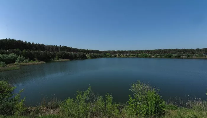 Более 70 тысяч мальков за шесть лет выпустил Алтай-Кокс в реки в Алтайском крае