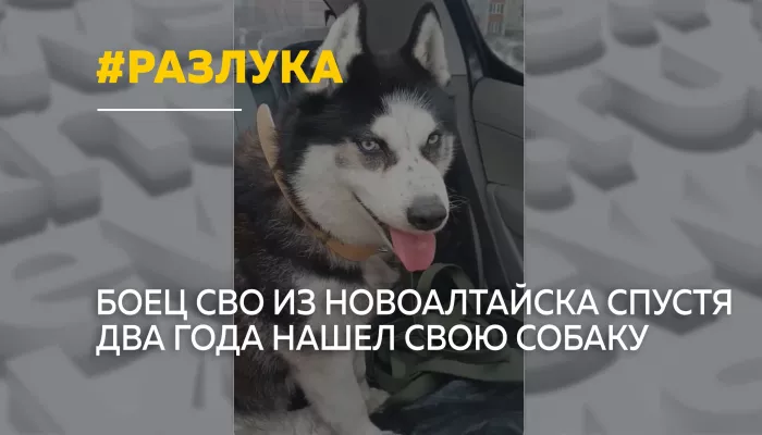 Спустя два года разлуки: боец СВО нашел свою собаку в приюте