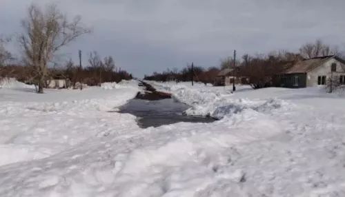 Никому нет дела, хоть умри: алтайское село отрезало от внешнего мира