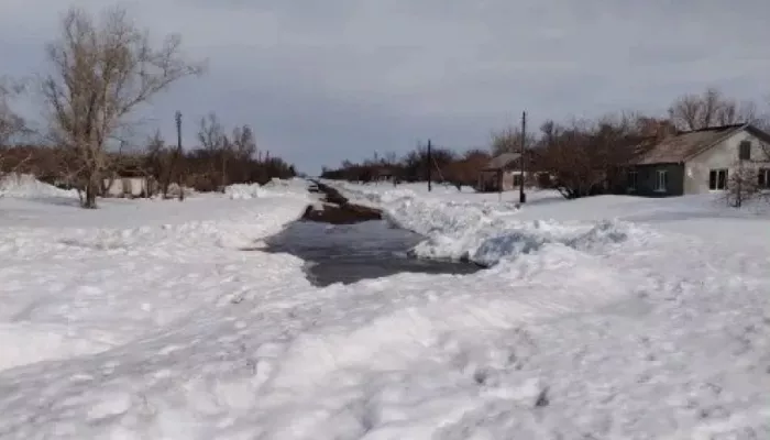 Никому нет дела, хоть умри: алтайское село отрезало от внешнего мира