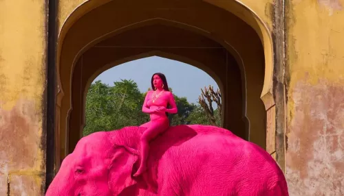 Слон умер после розовой фотосессии, устроенной россиянкой в Индии. Фото