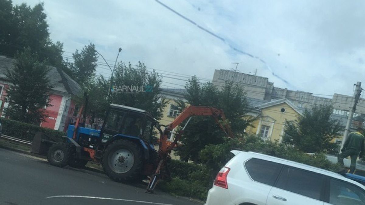 Зачем спиливают деревья на проспекте Ленина в Барнауле?