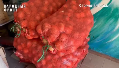 Более 600 кг продуктов собрали в Горном Алтае для сублимированных супов бойцам СВО