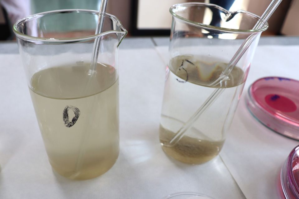 Исследование качества воды