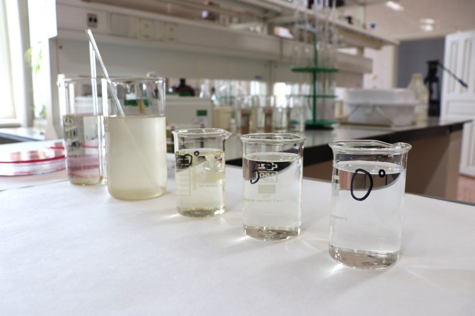 Исследование качества воды